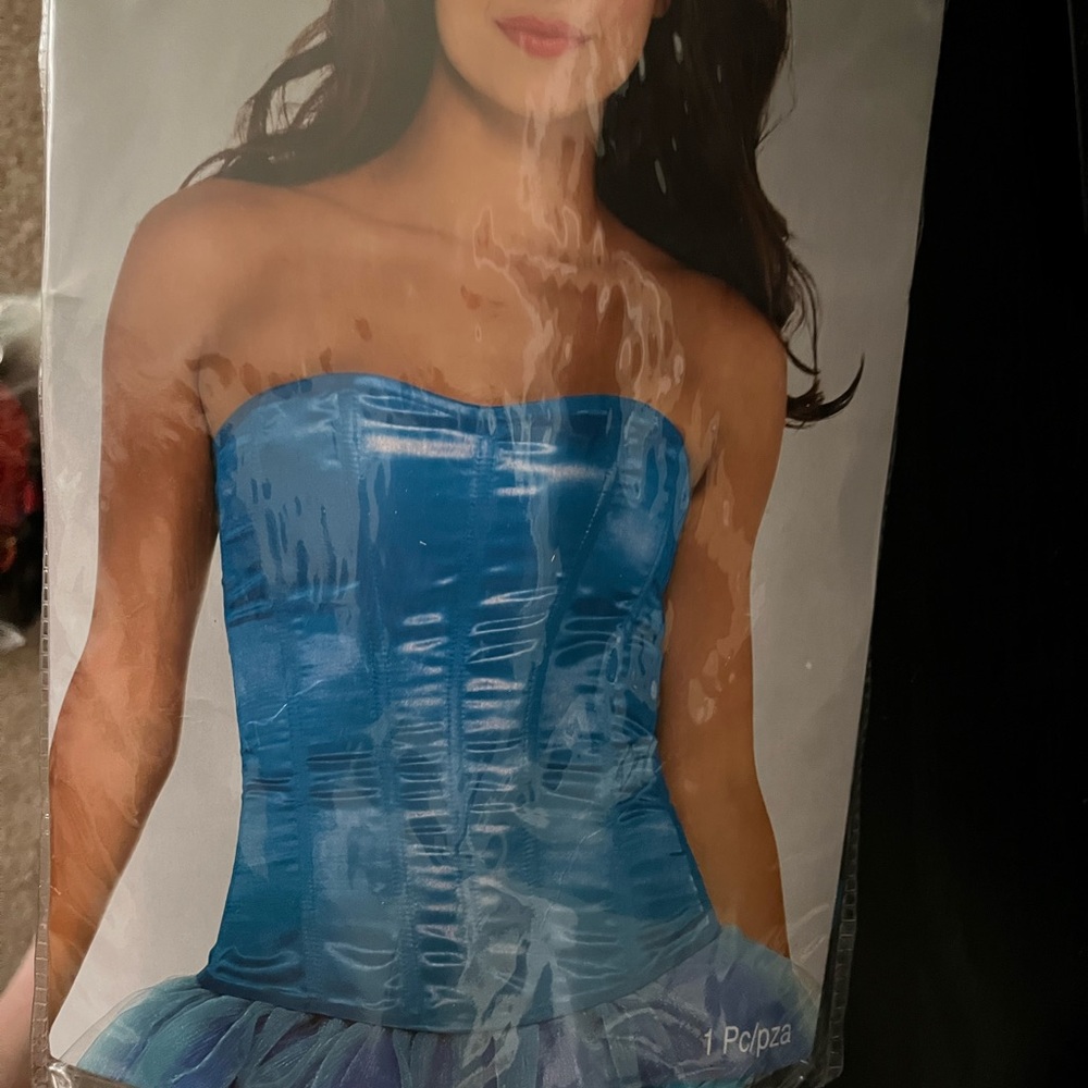 Blue Corset - Picture 3 of 4